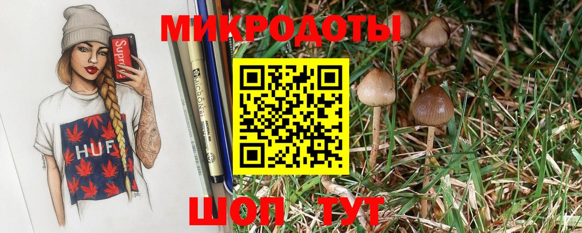 Псилоцибиновые грибы MAGIC MUSHROOMS Красногорск