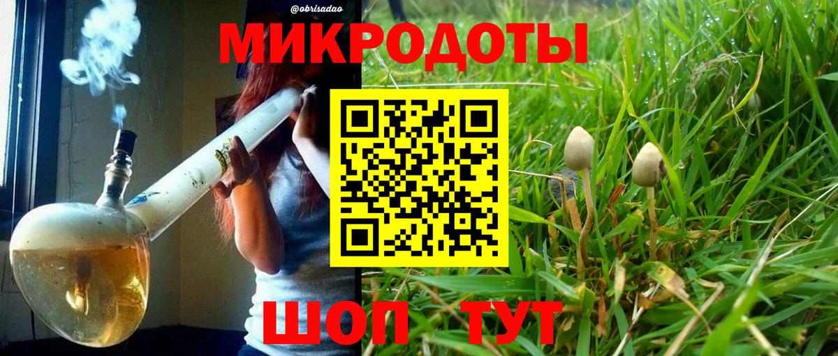 Псилоцибиновые грибы GOLDEN TEACHER  Галлюциногенные грибы мицелий  Красногорск  Вход с VPN 